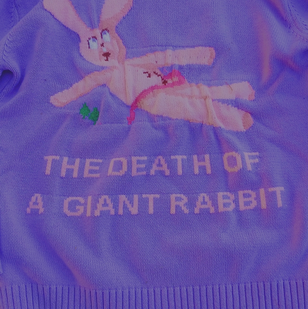 Rabbit sweater - Picture 2 of 3